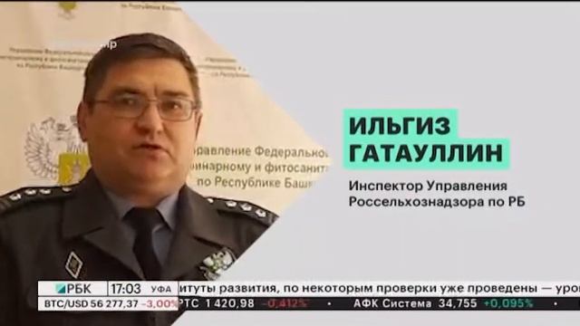 Более 88 тонн яровой вики отправили из Башкортостана в Польшу смотреть онлайн