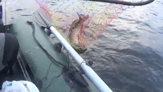 Удачная РЫБАЛКА!!!Ловля ЩУКИ!!! смотреть онлайн