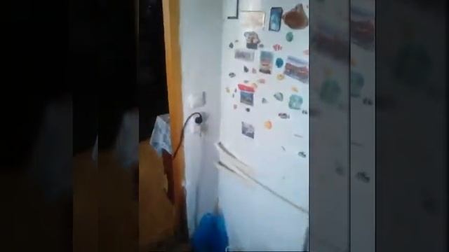 Когда дал герде гороховый суп попробовать