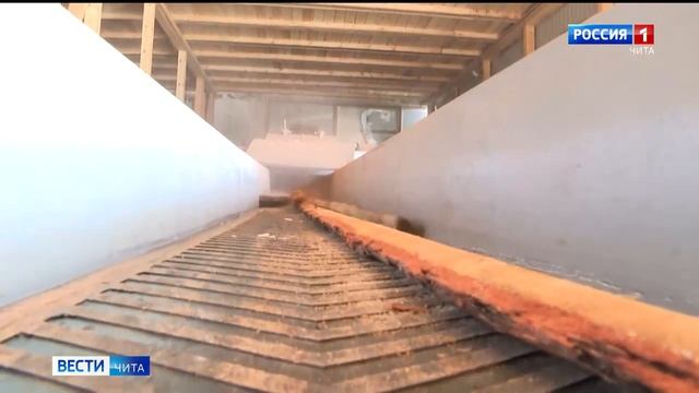 В России планируется создание государственной компании по экспорту круглого леса смотреть онлайн