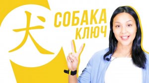 Ключевые иероглифы #30: 犬 (собака)  УЧУ КИТАЙСКИЙ ЯЗЫК ✌ Школа Динары Мин ✌