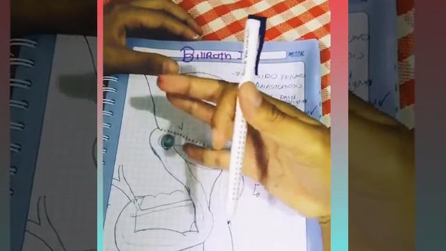 Cirugía Gastrointestinal смотреть онлайн