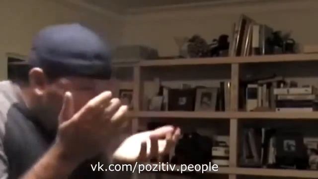Прикол Собака нассала на лицо хозяину смотреть онлайн