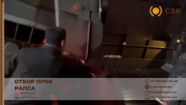 отбор проб рапса смотреть онлайн