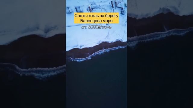 Как увидеть китов? смотреть онлайн