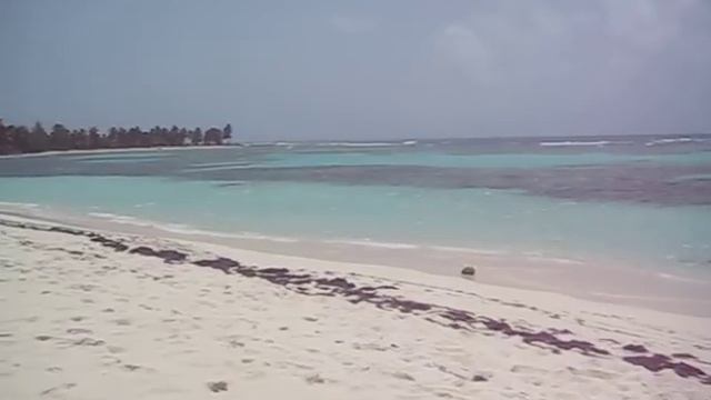 Canto de la Playa смотреть онлайн
