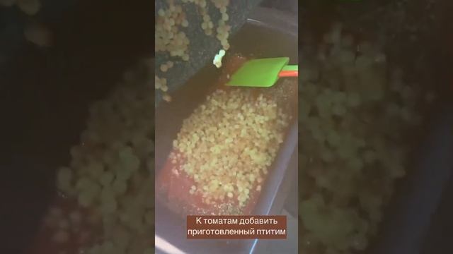 Зоопарк и Дикие Животные