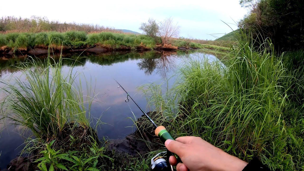 Щуку поймал, медведя повидал! Три часа клёвой рыбалки на спиннинг июльским утром на таёжной речке смотреть онлайн