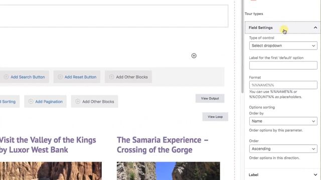 How to Create a Custom Search in WordPress Using Toolset - Free Course смотреть онлайн