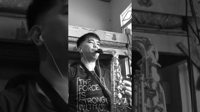 STARTING OVER AGAIN - Natali Cole | Saxophone Cover (SAXPAT) смотреть онлайн
