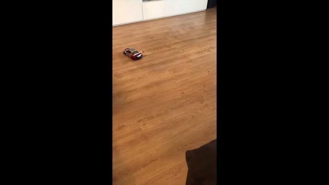 Test RASTAR AUDI R8 LMS RC 1:14 unboxing no modified смотреть онлайн