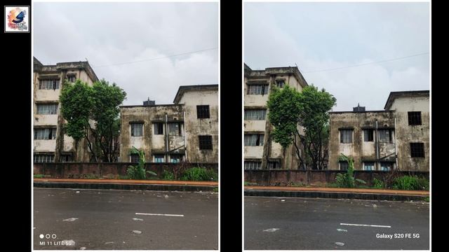 Mi 11 Lite 5G Vs Samsung Galaxy S20 FE 5G CameraTest 2023