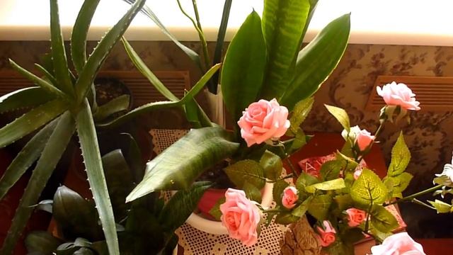 ВОЛОСЫ, МАКИЯЖ, АУТФИТ. смотреть онлайн