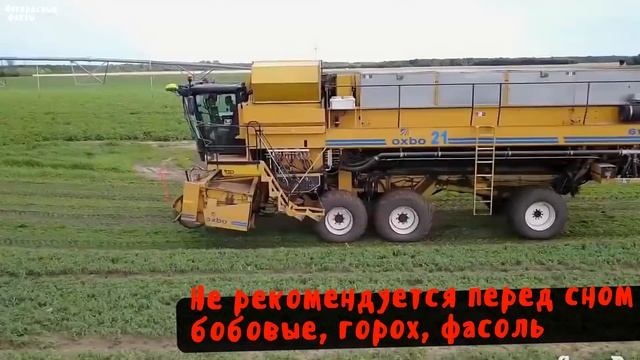 Продукты которые нельзя есть перед сном, 20 продуктов запрещенных на ночь смотреть онлайн