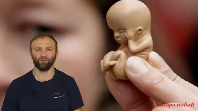 Александр Невский смотреть онлайн