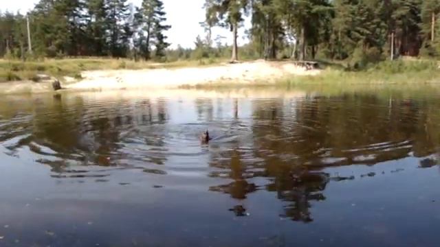 Зира смотреть онлайн