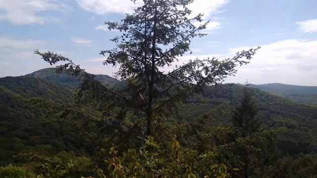 Königswinter Germany смотреть онлайн