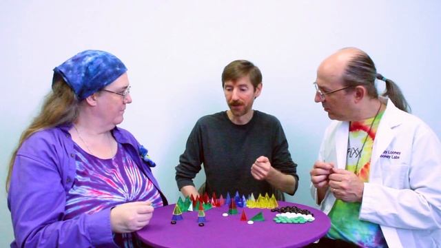 Zendo - Sample Game смотреть онлайн