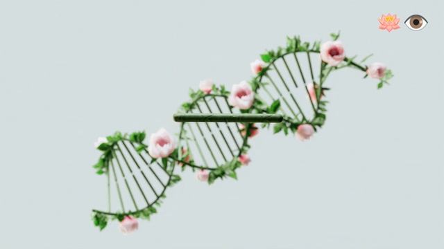 релакс для успокоения и медитации...под красивые виды визуализации ?️??.... смотреть онлайн