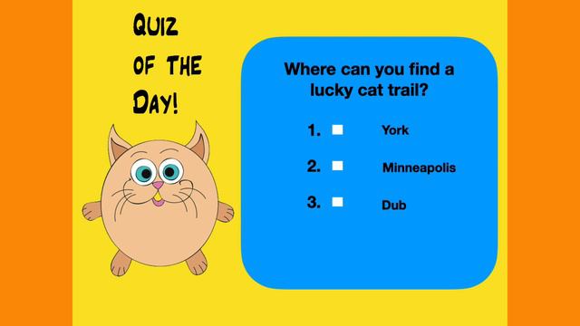 Why do cats mark their territory? 😻 CatCrazy смотреть онлайн