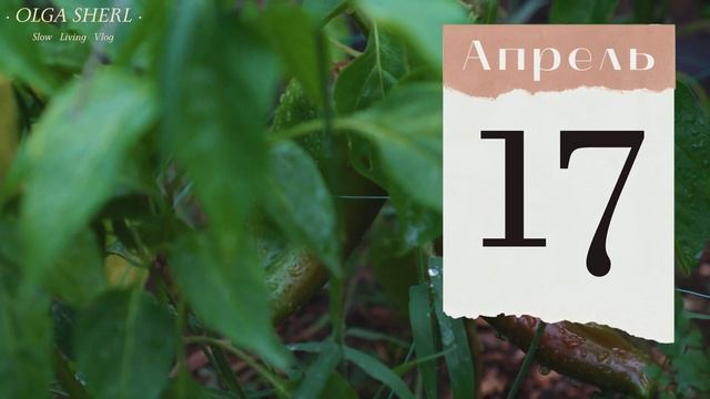 ПЕРЕЦ: Лунный Посевной Календарь на АПРЕЛЬ 2023 год! Когда сеять / сажать семена перцев на рассаду? смотреть онлайн