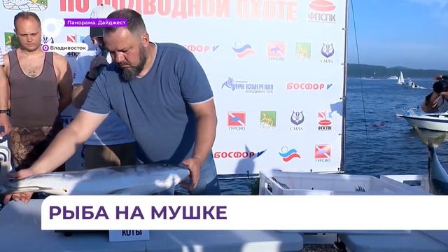 Команды из Владивостока и Находки соревновались в чемпионате по подводной охоте смотреть онлайн