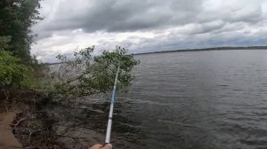СЕЛЁДКА . Самая простая и уловистая снасть. Волга . Лето 2021г.