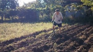 Копка картофеля мотолебедкой - испытание