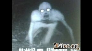 кто такой Ырка?