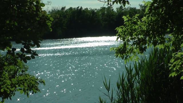 ГАВРИЛОВСКИЙ ЛЕС. "КРИНИЧКА" 2020 смотреть онлайн