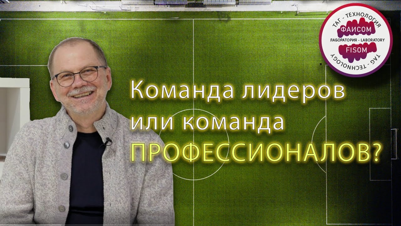 Команда лидеров или команда профессионалов?