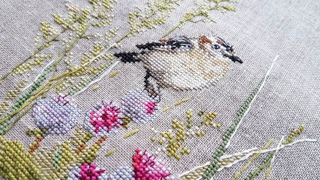 Снова вернулась к "Алисе" / Луговой чекан - ГОТОВ смотреть онлайн