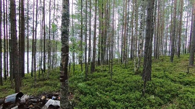 Рыбалка на Сегозере, на спиннинг в заброс #Сегозеро #Спиннинг #Форель #Щука #РыболовныйГид #Карелия смотреть онлайн