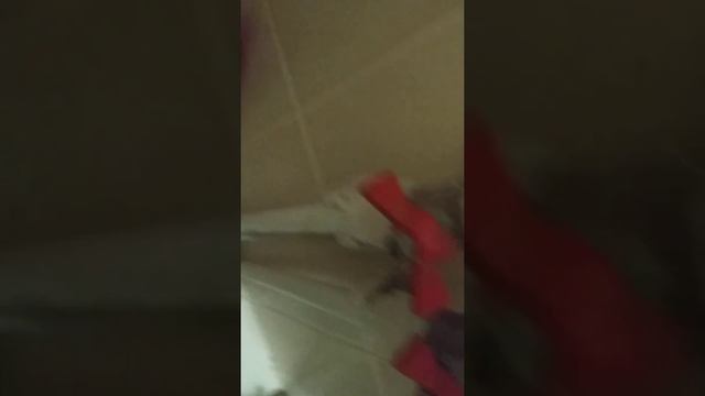 Toilet glory hole смотреть онлайн