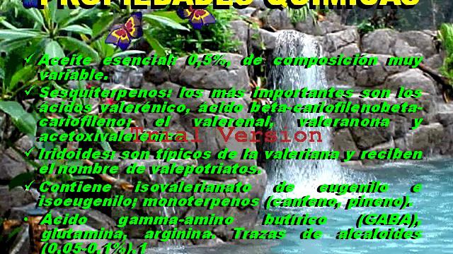 VALERIANA - Planta alternativa para la medicina. смотреть онлайн