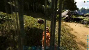 Карнотавр (Сarnotaurus) в АРК. Лучший обзор: приручение, разведение и способности карно в ark