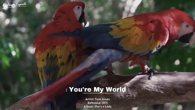 Roy Orbison, Elvis Presley, Paul Anka, Frank Sinatra, Johnny Cash - Oldies Songs Playlist 50s 60s смотреть онлайн