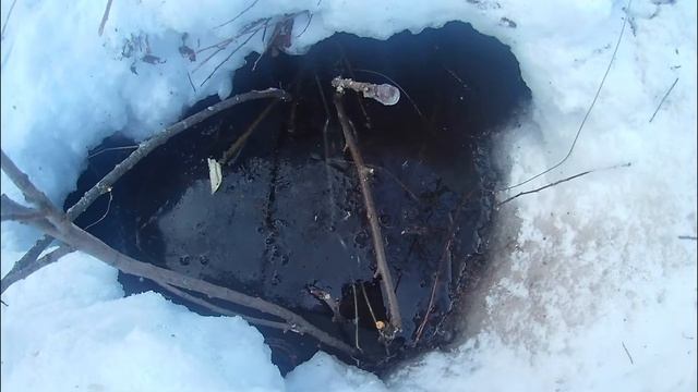 Фотографии с весенней охоты на глухаря сезон 2017 смотреть онлайн