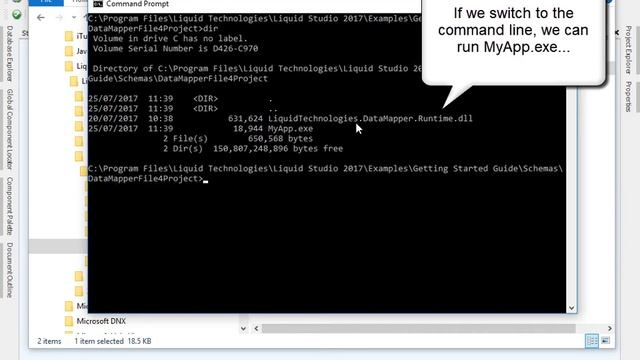 Generate an Executable (.exe) Data Mapping Transform in Liquid Data Mapper смотреть онлайн