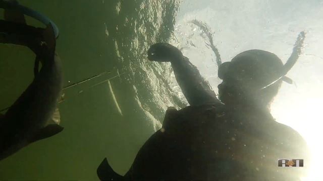 2021 №13 ИЩЕМ ЛЕЩА НА КОРМЕЖКЕ смотреть онлайн