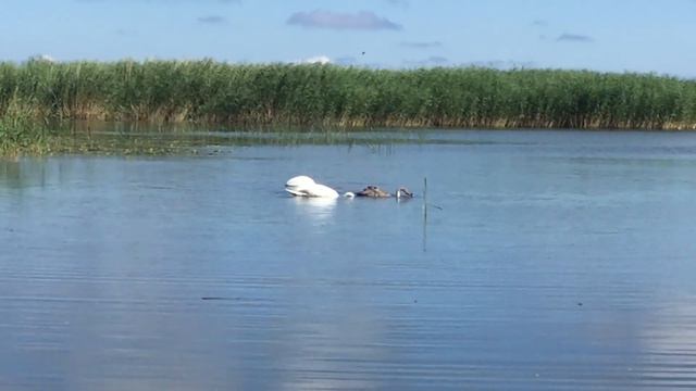Калининград 1 смотреть онлайн