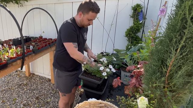 Planting Proven Winners Supertunia Vista Silverberry! 🌸🌿 || visit our garden @ProvenWinnersYouTube смотреть онлайн
