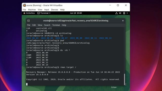 Oracle Database File System Alerts смотреть онлайн