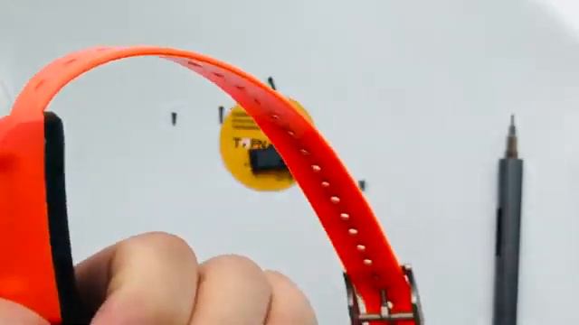 ТО ЧТО ВЫ ИСКАЛИ - Защита ошейника Garmin от TOPNAV.RU смотреть онлайн