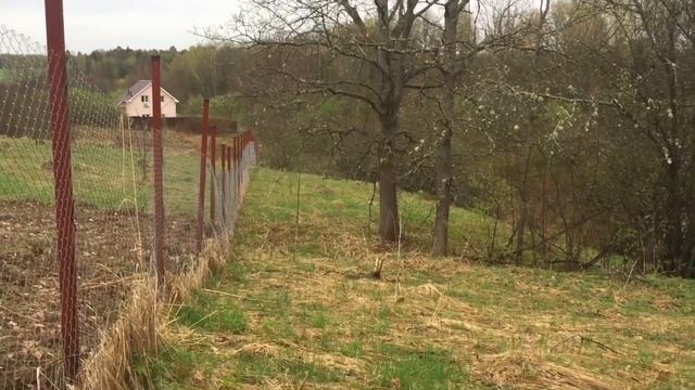 Дача с нуля 2 сезон. Установка фундамента, ужасный рельеф участков, непонятные грибы? смотреть онлайн