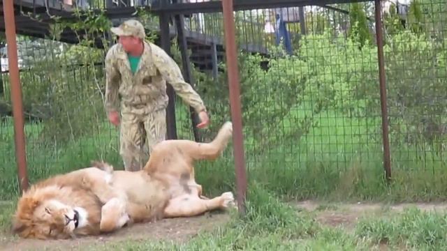 Казимир и Цезарь смотреть онлайн