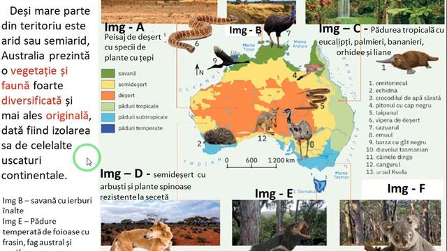 Australia și Oceania - Clima, vegetația, fauna și solurile - Geografia Continentelor смотреть онлайн