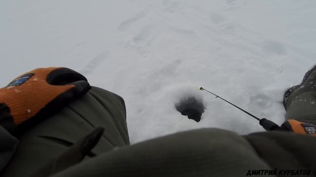 Рыбалка на Обском море. Судак. Щука.