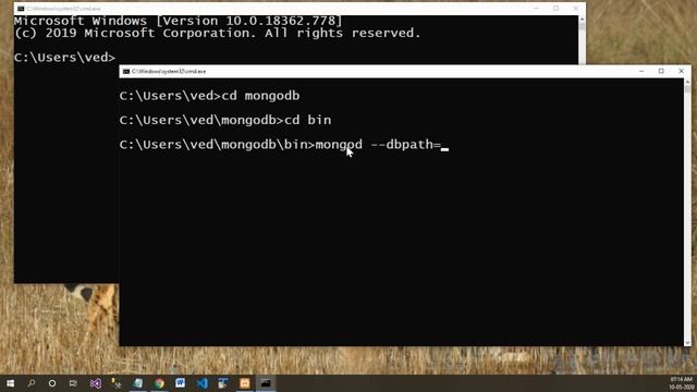 Starting MongoDB смотреть онлайн
