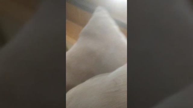 вот что происходит когда человек много ест